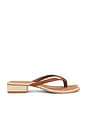 view 1 of 5 Barty Sandal in Cognac Stella
