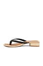 view 5 of 5 Barty Sandal in Black Stella