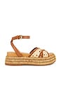 view 1 of 5 Wriley Sandal in Saddle