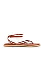 view 1 of 5 Cove Sandal in Brown