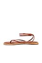 view 5 of 5 Cove Sandal in Brown