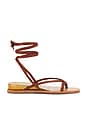 view 1 of 5 Rudie Sandal in Cognac