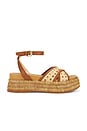 view 1 of 5 Wriley Sandal in Saddle Woven Raffia