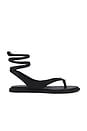 view 1 of 5 Judy Sandal in Black Leather