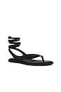view 2 of 5 Judy Sandal in Black Leather