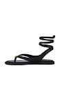 view 5 of 5 Judy Sandal in Black Leather
