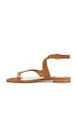 view 5 of 5 Earla Sandal in Brown