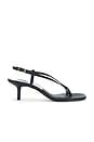 view 1 of 5 Laury Sandal in Black