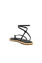 view 3 of 5 Cove Sandal in Black