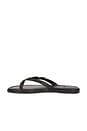 view 5 of 5 Juny Sandal in Black