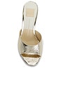 view 4 of 5 SANDALES ROSHA in Platinum