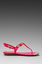 view 2 of 5 Alta Sandal in Neon Pink