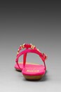 view 3 of 5 Alta Sandal in Neon Pink