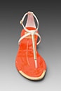view 5 of 5 Archer Sandal in Bone/Orange in Bone & Orange