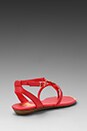 view 4 of 5 Apex Sandal in Coral