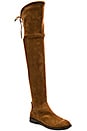 view 2 of 5 Neely Boot in Acorn