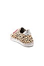 view 3 of 6 Zalen Calf Hair Sneaker in Leopard