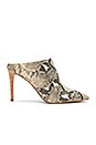 view 1 of 5 MULES CINDA in Snake Print