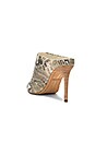 view 3 of 5 MULES CINDA in Snake Print