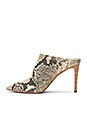 view 5 of 5 MULES CINDA in Snake Print