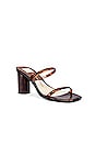 view 2 of 5 Noles Sandal in Tortoise