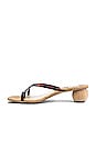 view 5 of 5 Betsey Sandal in Tortoise