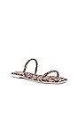 view 2 of 5 Lester Sandal in Light Leopard