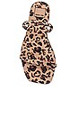 view 4 of 5 Lester Sandal in Light Leopard