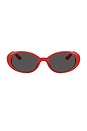 view 1 of 3 Oval Sunglasses in Red