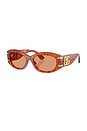 view 2 of 3 Oval Sunglasses in Camel Havana