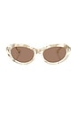 view 1 of 3 Oval Sunglasses in White & Brown