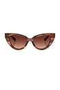 view 1 of 3 Cat Eye Sunglasses in Striped Brown