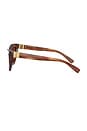 view 3 of 3 Cat Eye Sunglasses in Striped Brown