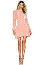 view 1 of 4 Stardust Mini Dress in Peony