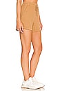 view 2 of 4 Ribbed Short in Camel