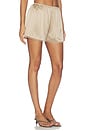view 2 of 6 CAMISETA CORTA THE SILK LACE TAP SHORT in Shitake