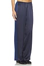 view 2 of 6 The Silk Stripe Simple Pant in Navy & Blueberry