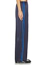 view 3 of 6 The Silk Stripe Simple Pant in Navy & Blueberry