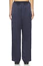 view 4 of 6 The Silk Stripe Simple Pant in Navy & Blueberry
