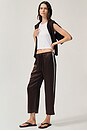 view 6 of 9 The Silk Stripe Crop Pant in Espresso