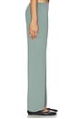 view 3 of 6 The Pointelle Simple Crop Pant in Sage