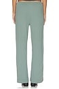 view 4 of 6 The Pointelle Simple Crop Pant in Sage