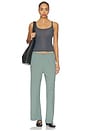 view 5 of 6 The Pointelle Simple Crop Pant in Sage