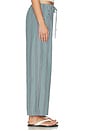 view 3 of 6 The Pop Stripe Drawstring Pant in Sage Stripe
