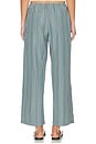 view 4 of 6 The Pop Stripe Drawstring Pant in Sage Stripe