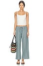 view 5 of 6 The Pop Stripe Drawstring Pant in Sage Stripe