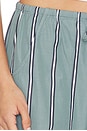 view 6 of 6 The Pop Stripe Drawstring Pant in Sage Stripe
