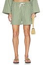 view 4 of 8 The Nylon Zip Pant in Sage