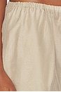 view 6 of 6 PANTALON BOUFFANT THE SILK COTTON SHEER BALLOON PANT in Shitake
