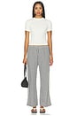 view 6 of 6 The Cotton Gingham Stripe Crop Pant in Jet